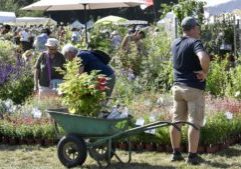 La Folie des Plantes au parc du Grand-Blottereau Nature jardins Seve 
36ème édition de la "Folie-des-plantes"
Au programme : marché aux plantes, artisanat d'art et marché solidaire, pour le plus grand plaisir des amoureux du végétal ! Seve service des espaces verts et de l'environnement fleur fleurs plante arbre arbres parc jardin parcs jardins événement festival de fleurs brouette